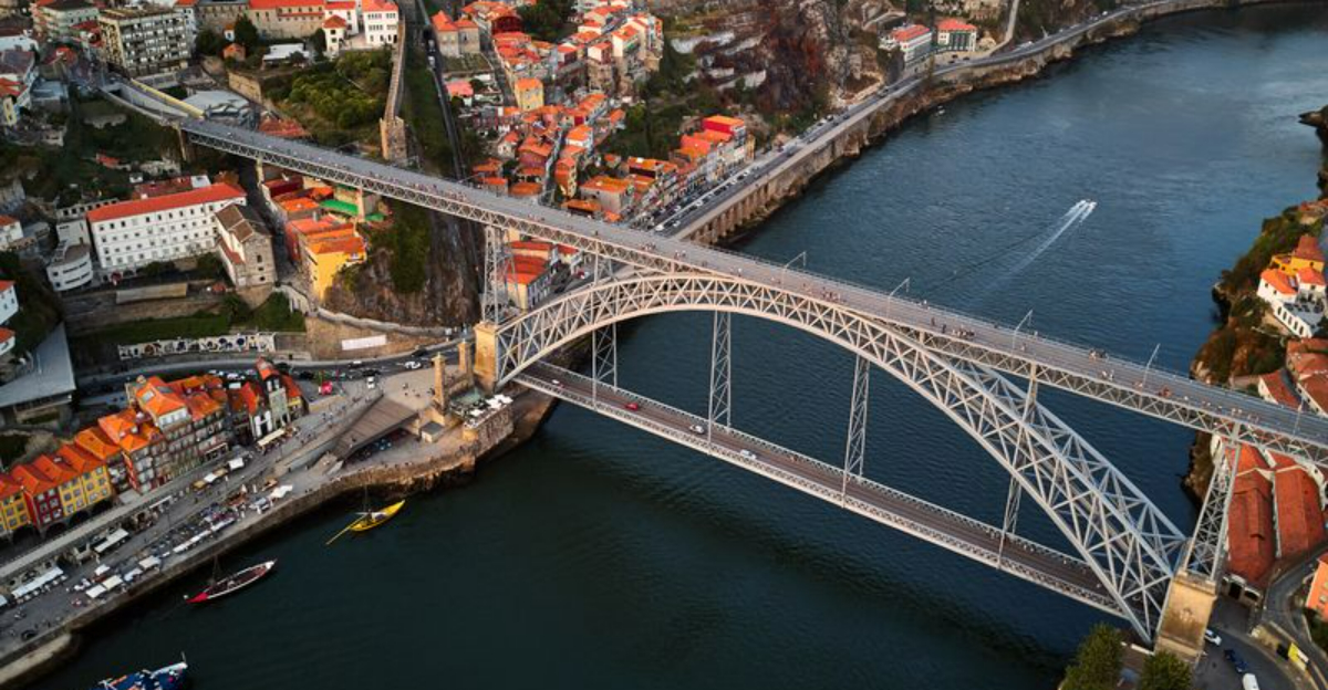 Porto's Bestの照準器の究極のガイド