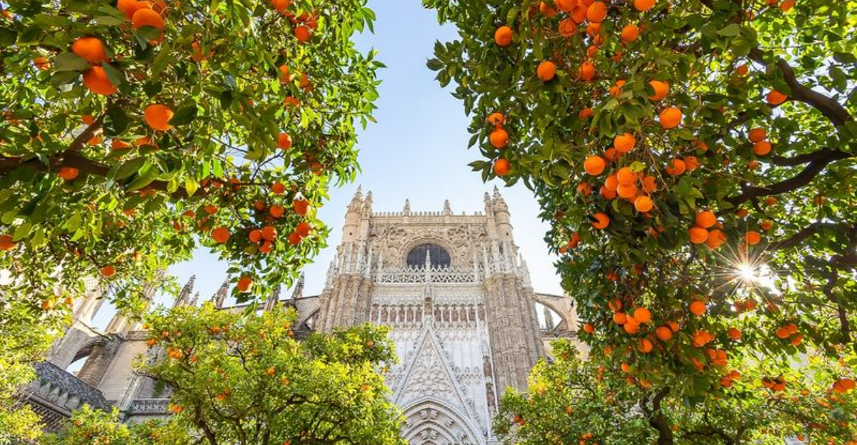 12の都市はとても豪華です私は考えずに帰りの旅行を予約します