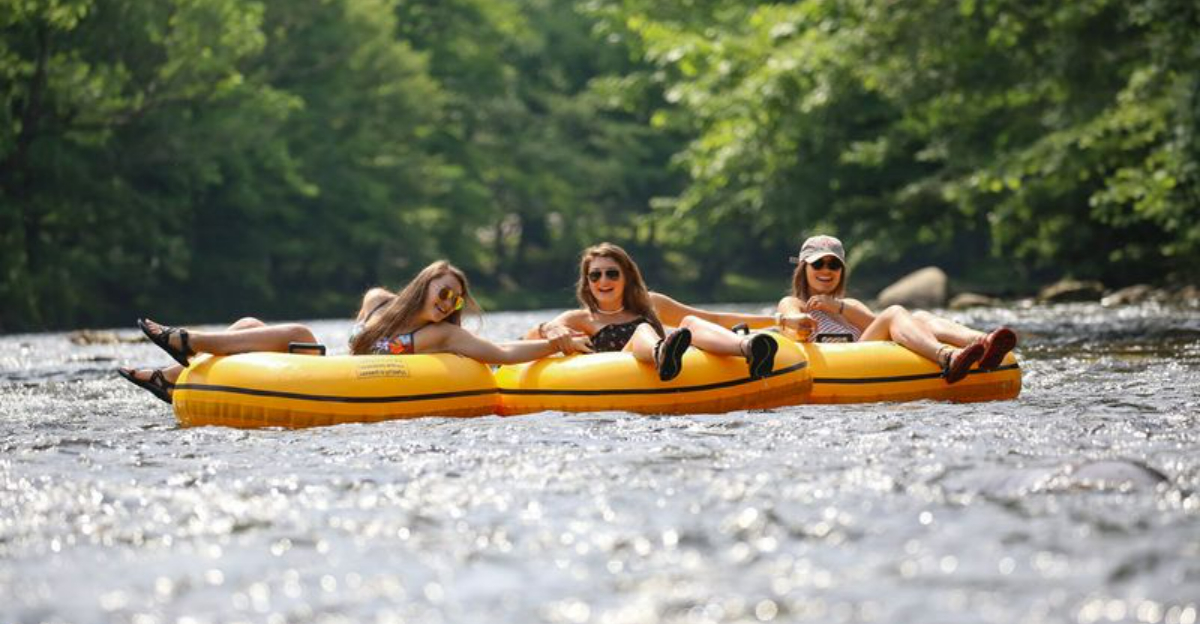 12スモーキーマウンテンエクスペリエンスお見逃しなく