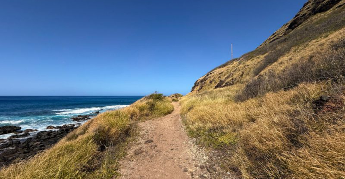 あなたの次の島の冒険のためにオアフ島で14の壮大なハイキング