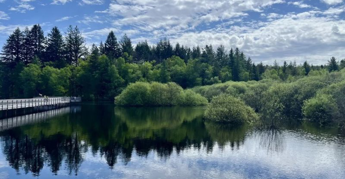 ブルゴーニュで見るべき14の見事な場所、パリから数時間