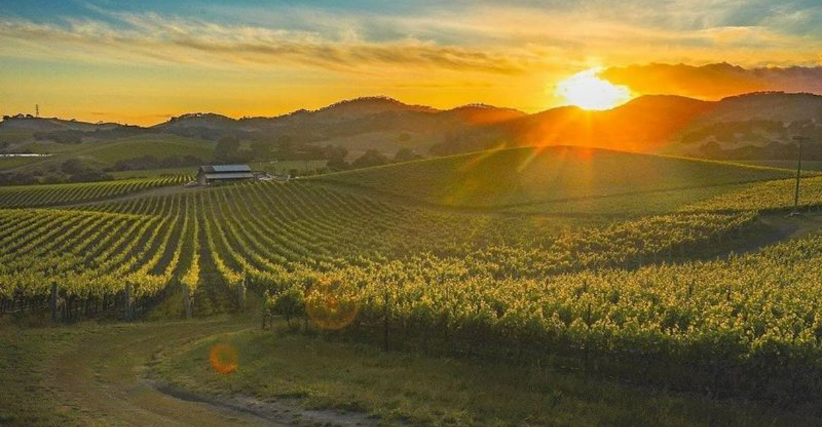 2025年の15の最高のメモリアルデーの週末の休暇