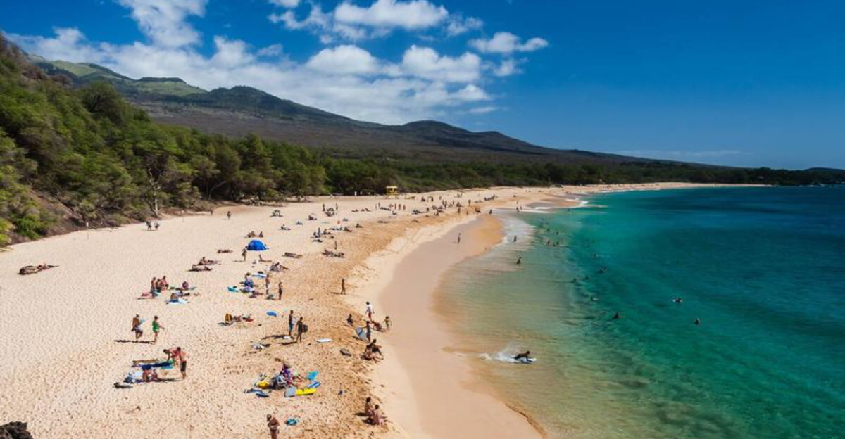 私たちが世界を探求する方法を再定義している15のホットトラベルフレーズ