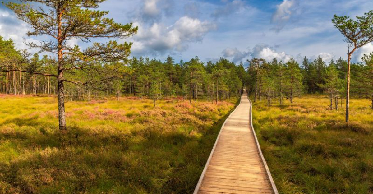 エストニアでの私の若返りのウェルネスの週末から15の必見の場所