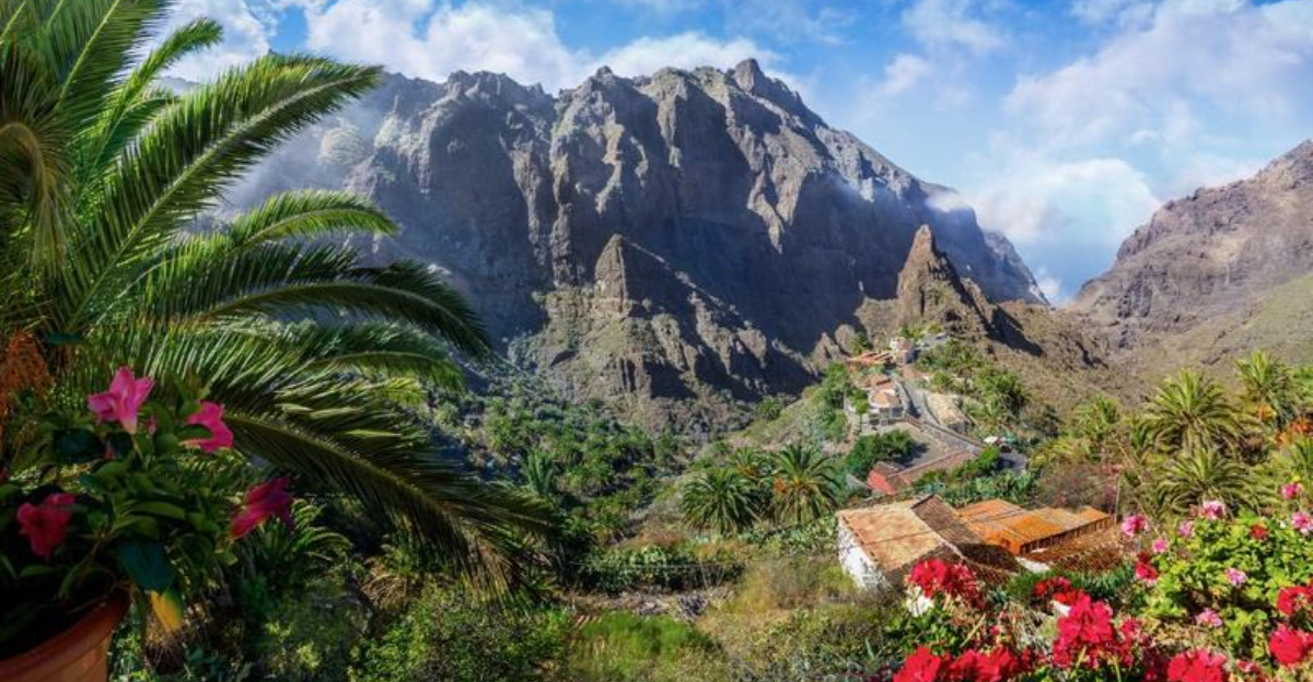 マスカ、テネリフェの隠された山の宝石に恋をする15の理由