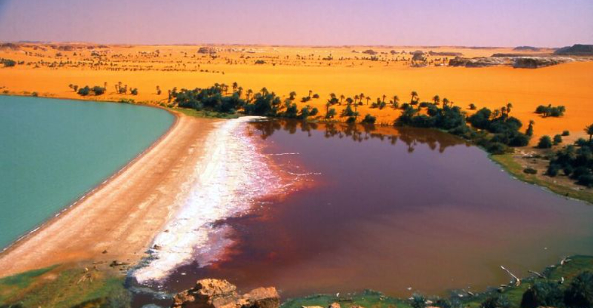 サハラの中心部にある19の魔法のオア