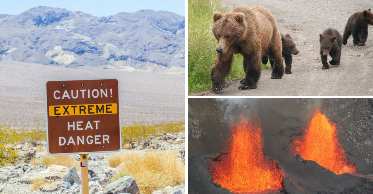 実際に訪問するのが危険な20米国の国立公園