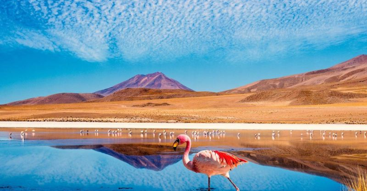 2025年春の冒険とリラクゼーションのバランスを完全にバランスさせる27の目的地