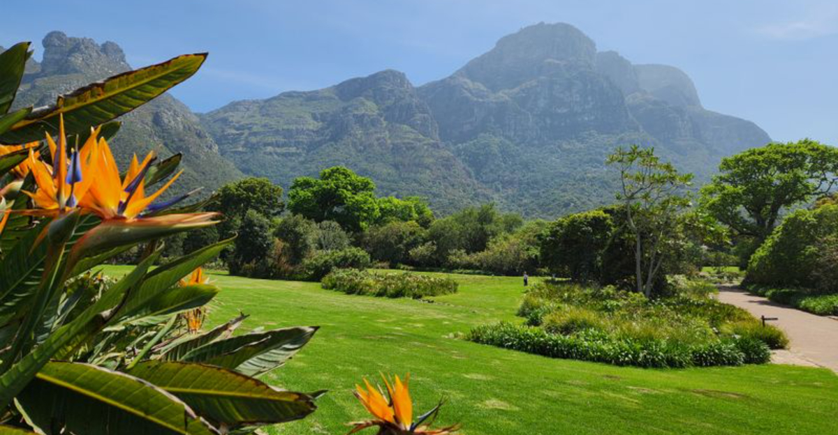 あなたが直接見る必要がある世界中の41の見事な庭園