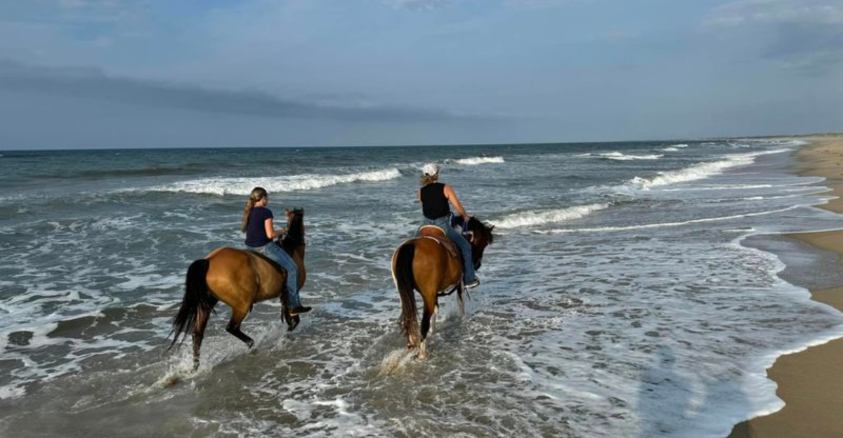 ノースカロライナ州のハンプトンスタイルの休暇？この車のない島にはすべてがあります