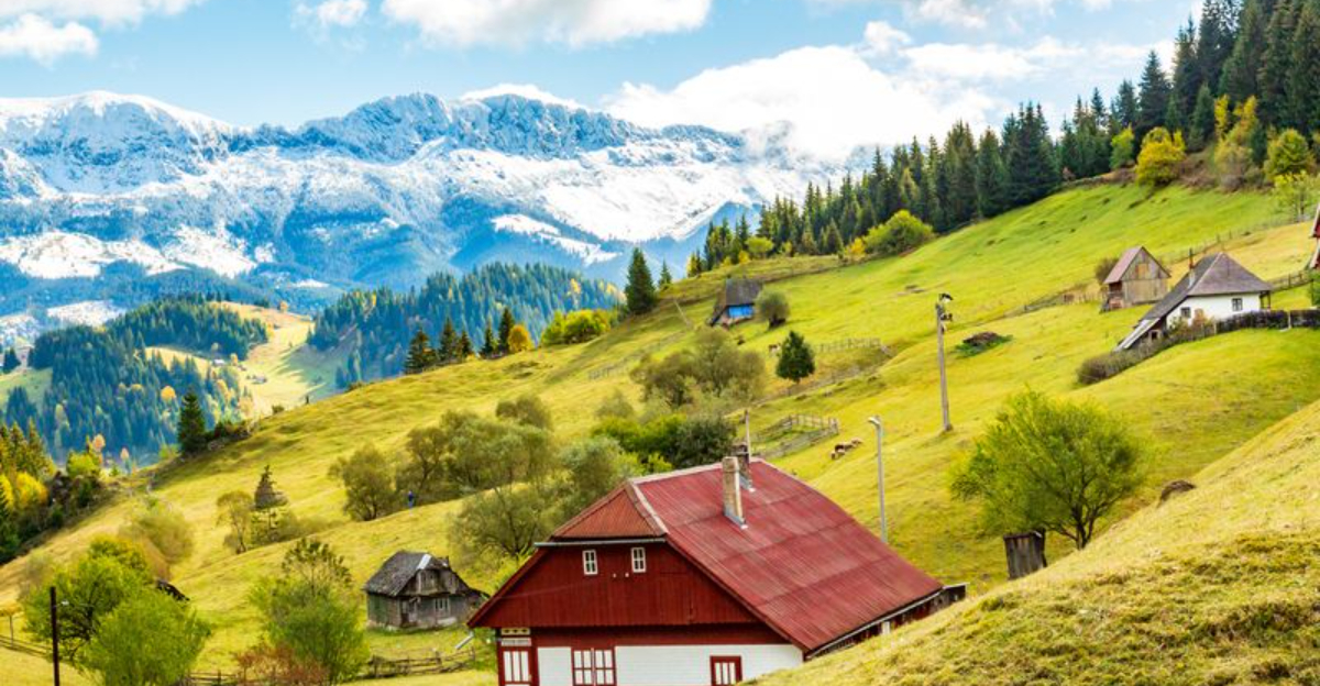 12本物のトランシルバニアアドベンチャーでドラキュラの影を逃がします