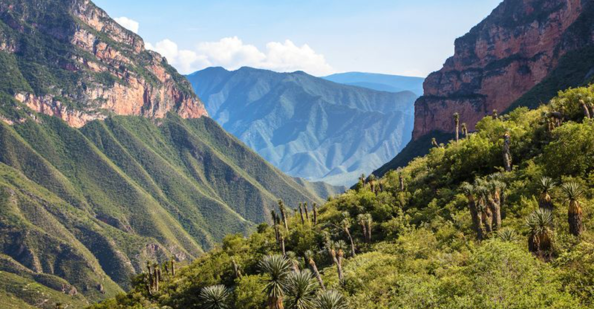 Querétaro'sRise 10がこの歴史的な都市を2025年に必見のものにしている