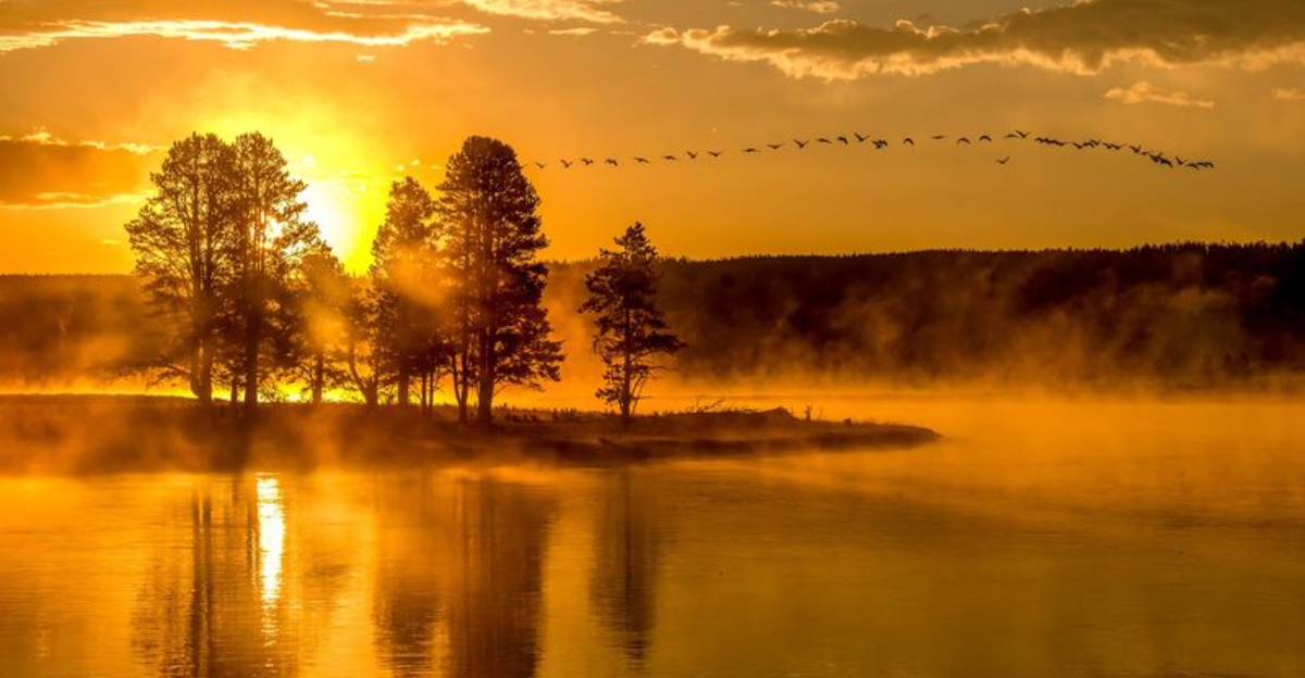 アメリカで最も美しい道路は国立公園への壮大な入り口です