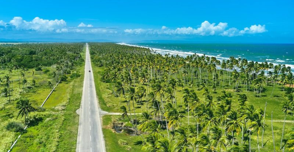 これらの13のカリブ海の目的地にはリスクが伴います。2つはノーゴスです