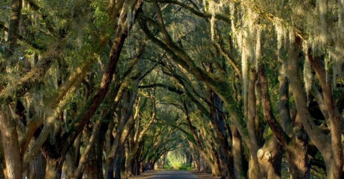 米国で最も幸せな沿岸の町のハイライト +あなたの時間の価値がない5つの経験