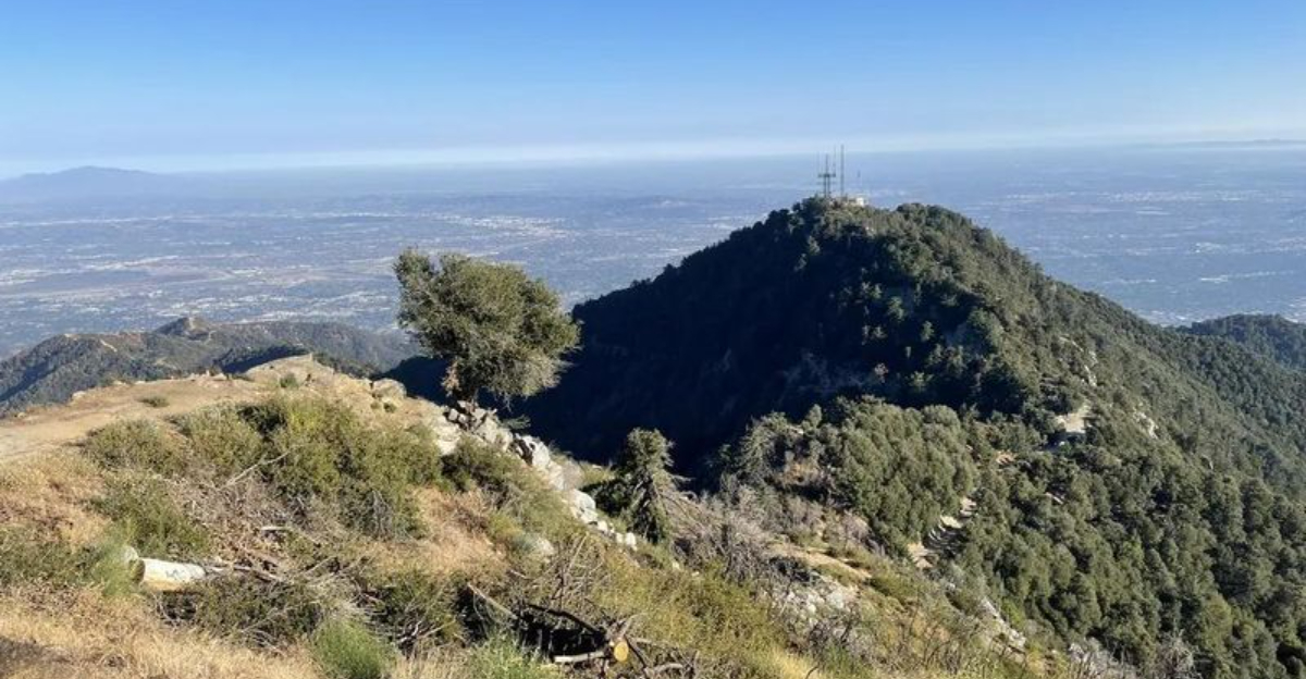 究極のバックパッキングエスケープのためのLA近くの13の平和なトレイル