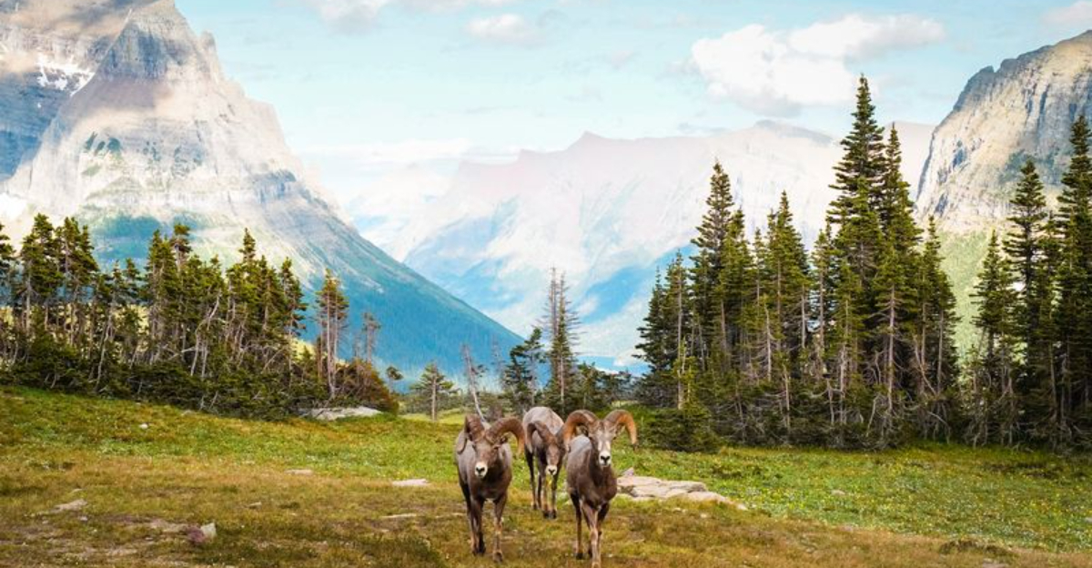 ソロ旅行者のためのアメリカで最高の17の自然な場所