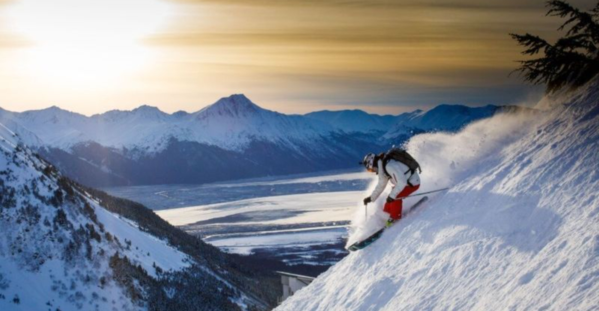 アラスカのベストシーズン：10夏の驚異と10冬季のオーロラ号エスケープ