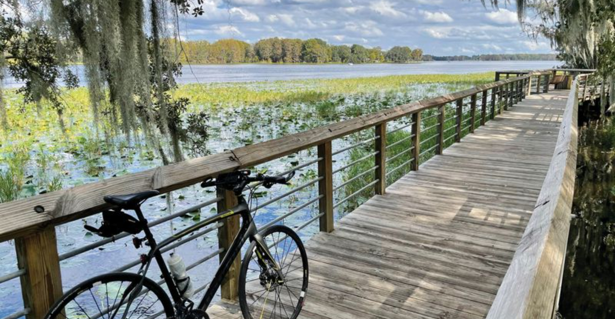 自転車に乗るのに最高のフロリダビーチ