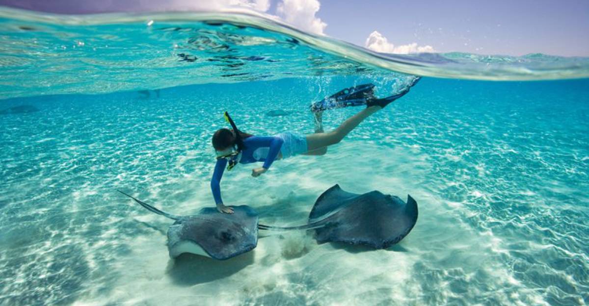 私は20のカリブ海の島に行ったことがあります