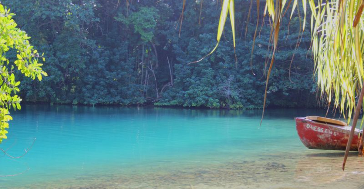 私はクリスタルウォーターズと10匹の純粋な魔法のあるカリブ海の宝石を探索しました