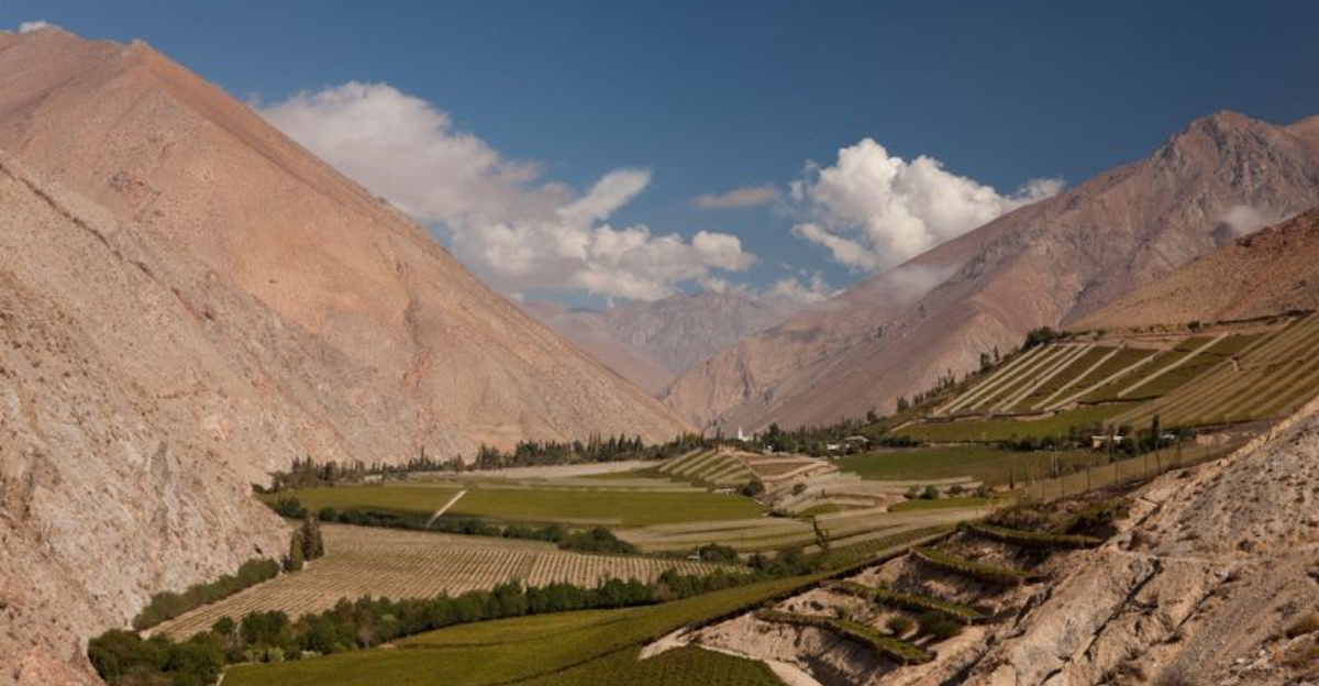 究極のチリ旅行ガイド:全国で14の最高の体験