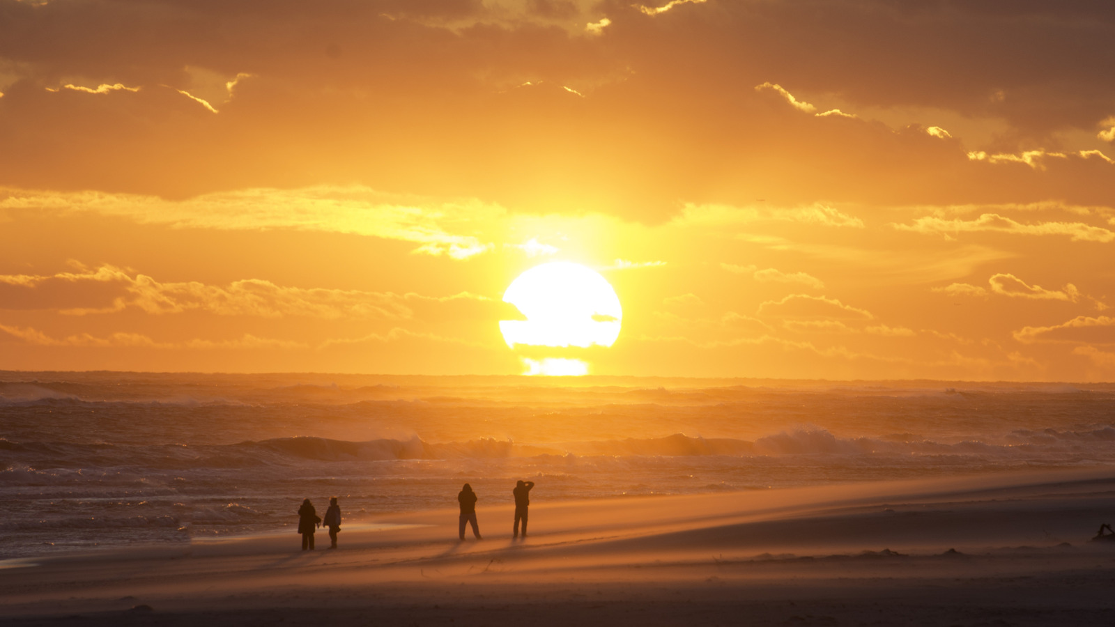 ニューヨークの海で冒険するときに注意する5つの生き物