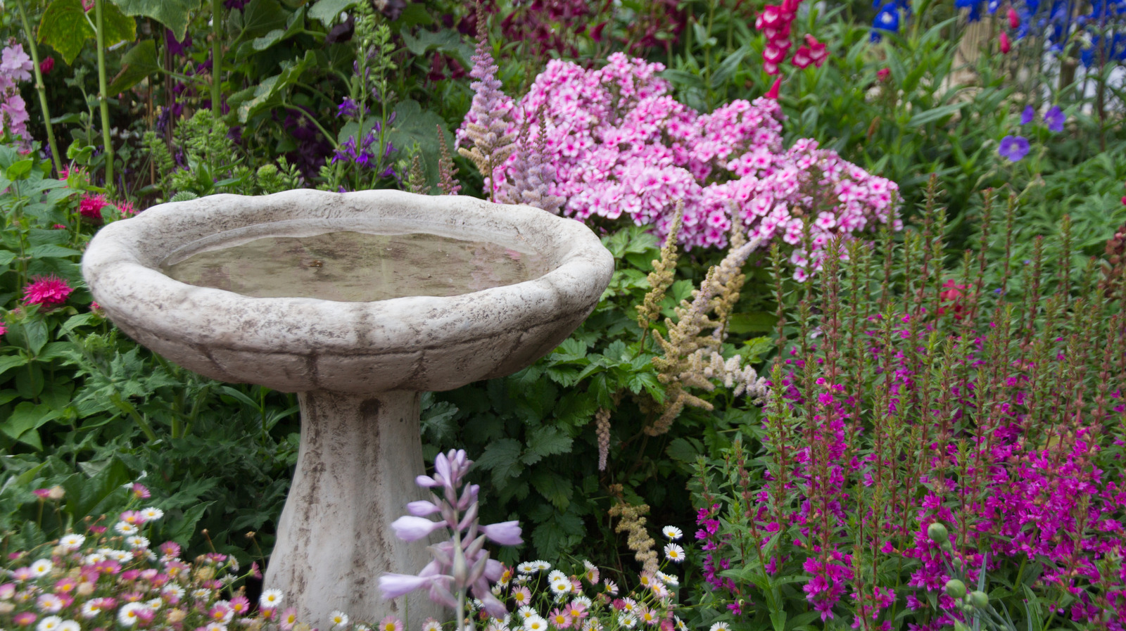 庭のバードバスに代わる美しいDIYの水回り設備