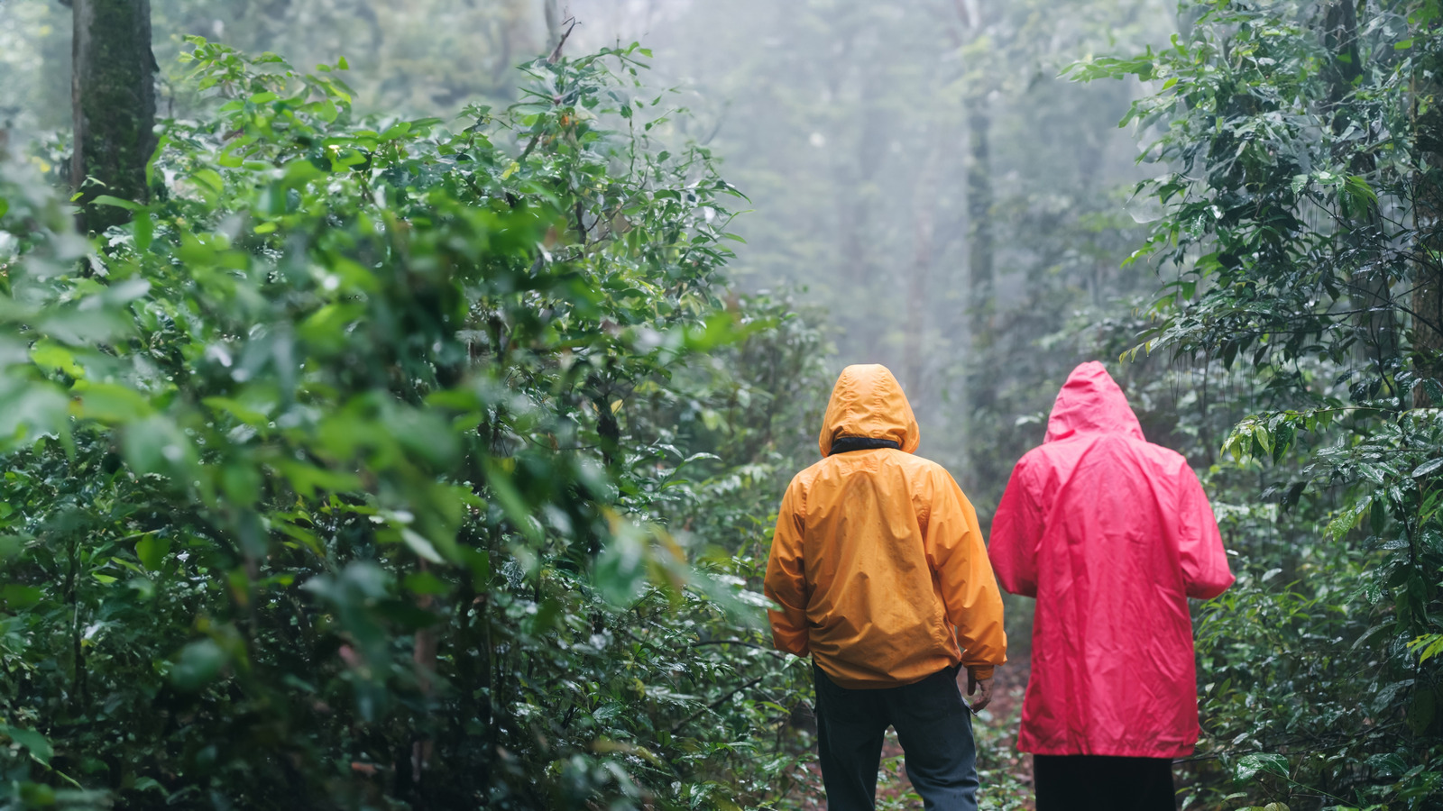 ハイキング中にバックパックを防水するための予算に優しいソリューション