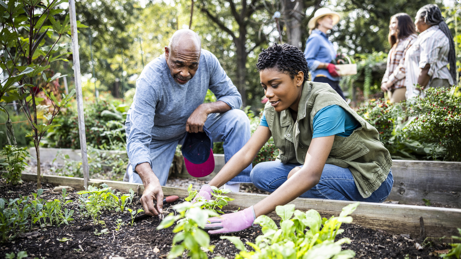 あなたの庭から害虫を守るのに役立つDIY PVCパイププロジェクト