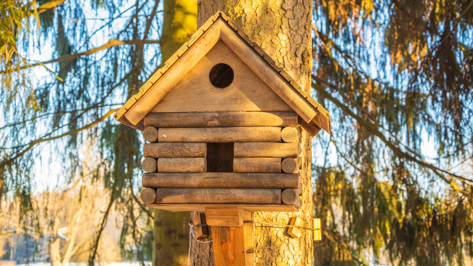 DIYログキャビンバードハウスであなたの庭に素朴な雰囲気を加える