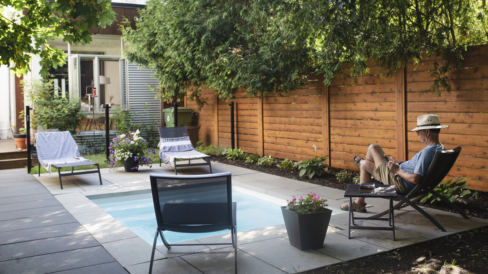 必見の低木であなたの小さな庭にプライバシーを追加する