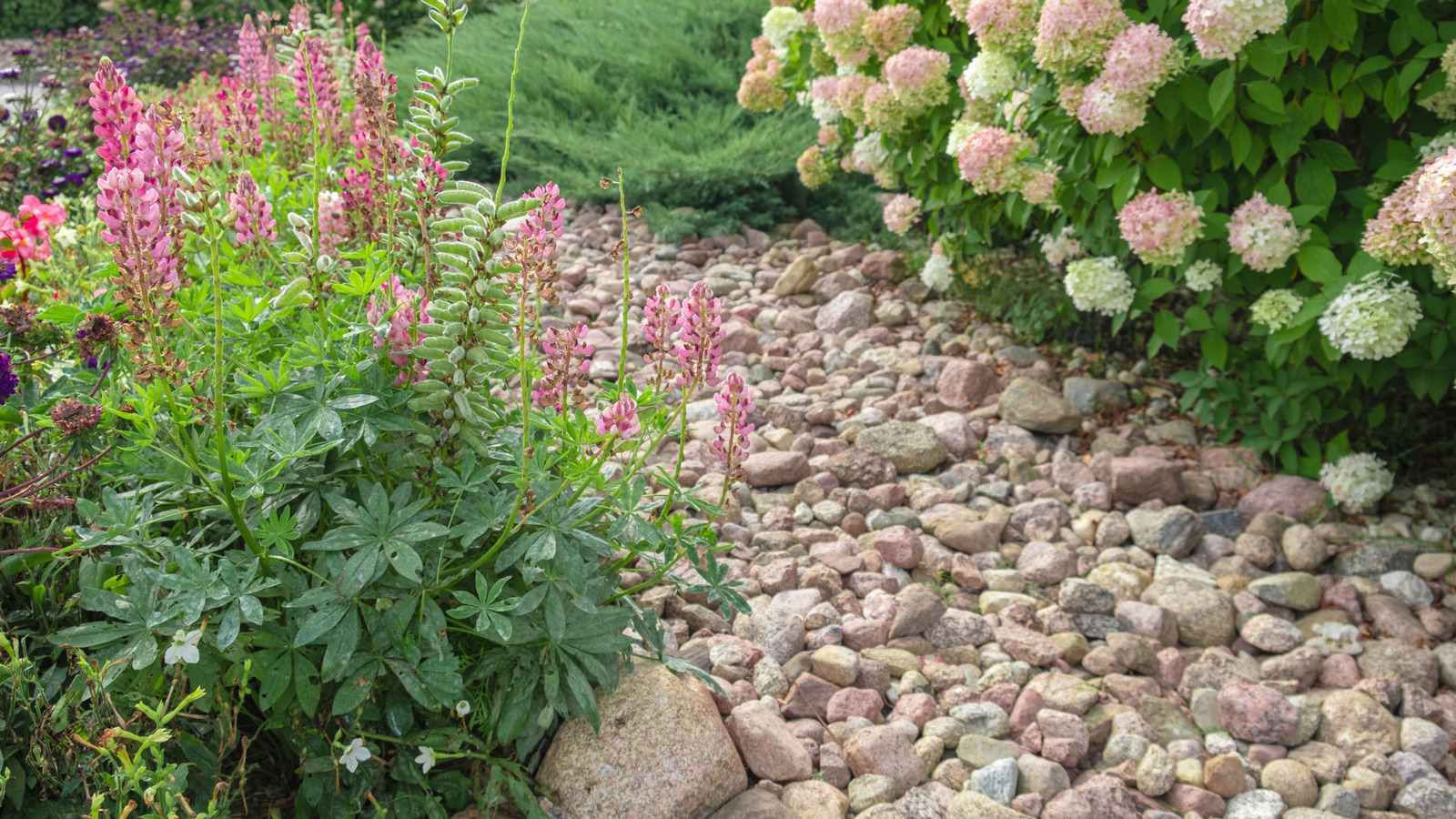 造園で砂利を使用するときは、これらの一般的な間違いを避けてください