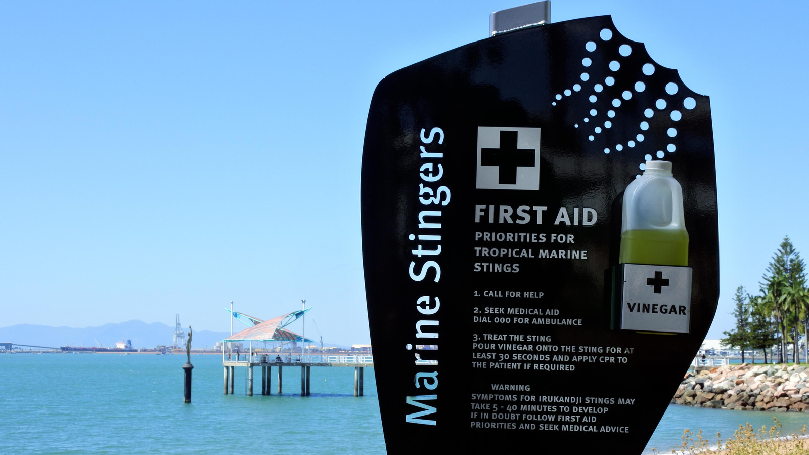 次の海への旅行中にこれらの有毒な生き物に注意してください