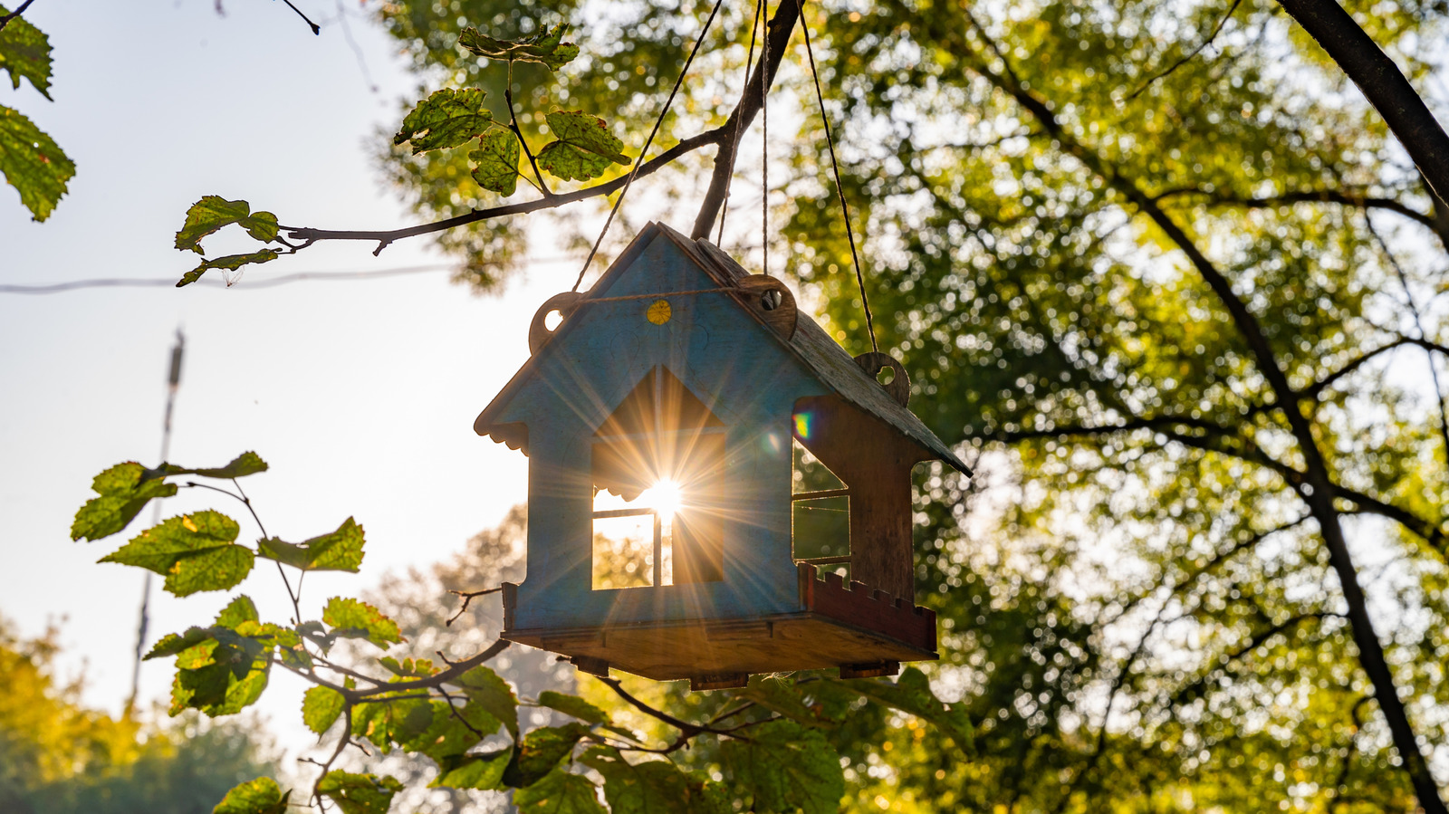 メンテナンスをさらに簡単にするバードハウスの機能