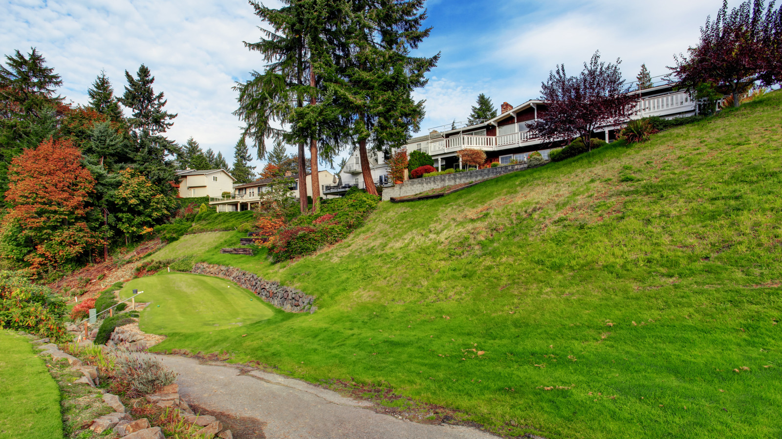 傾斜した裏庭をよりプライベートにする創造的な方法