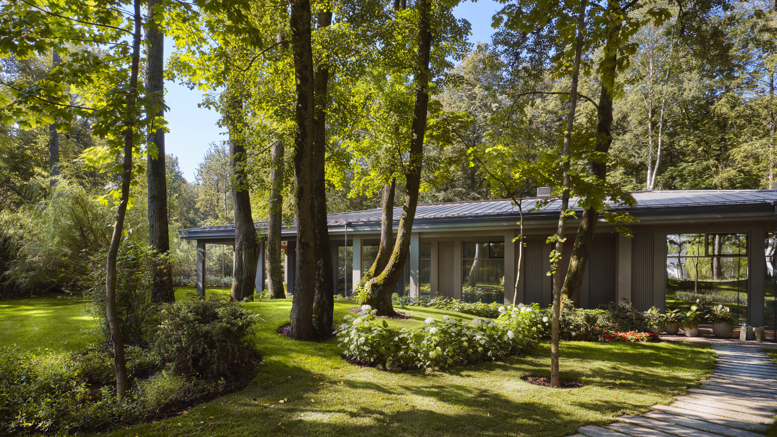 落葉性または針葉樹の木：あなたの庭に最適なタイプを選ぶ方法