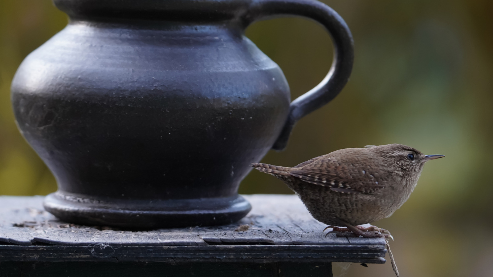 あなたの古いティーポットを再利用することにより、愛らしい巣箱をDIYします