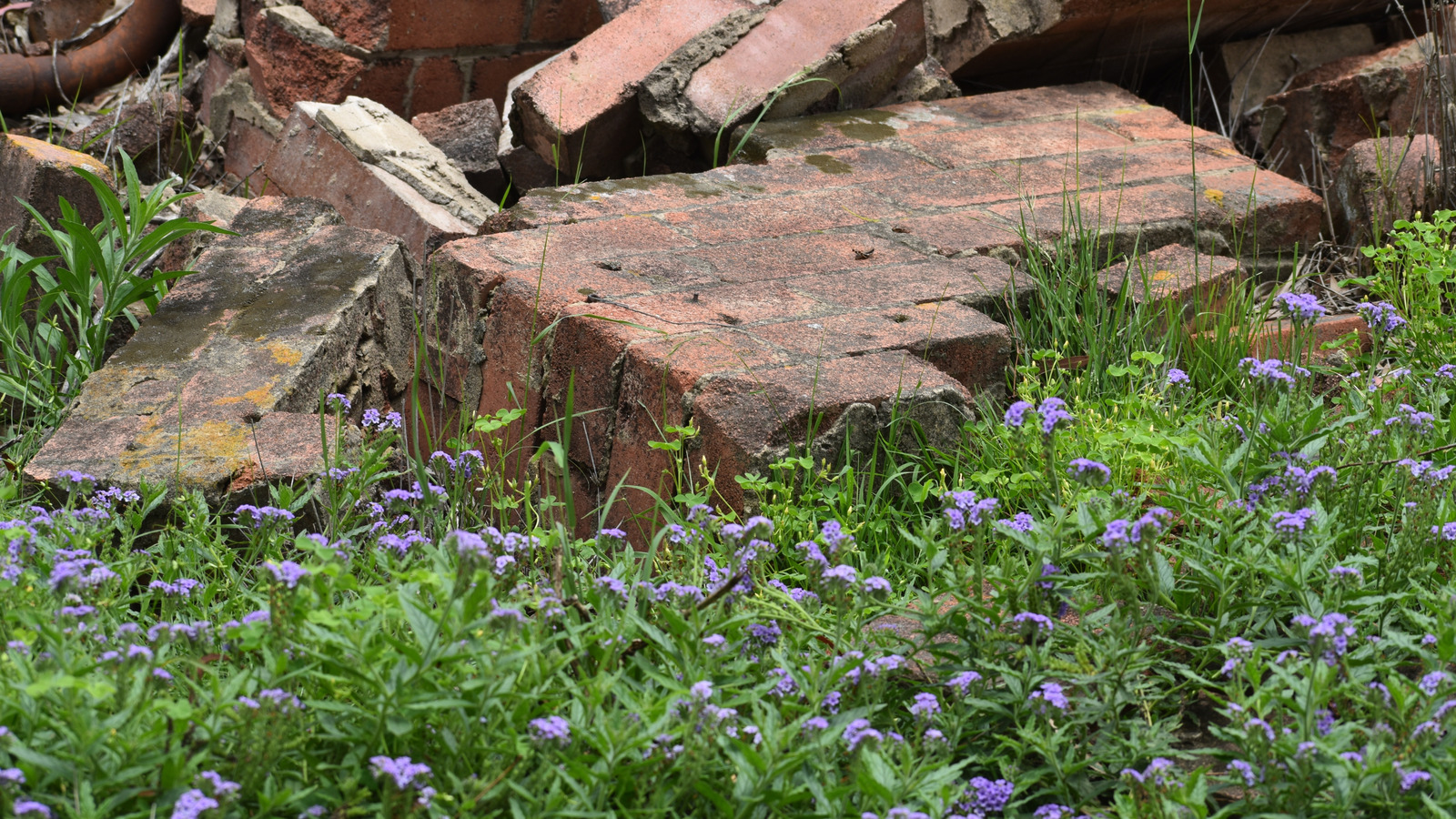 壊れたレンガを捨てないで、それらを庭の経路に変えます