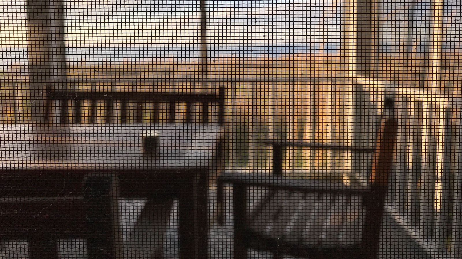 古いスクリーンのドアを捨てないでください、代わりに庭のふるいとしてそれを使用してください