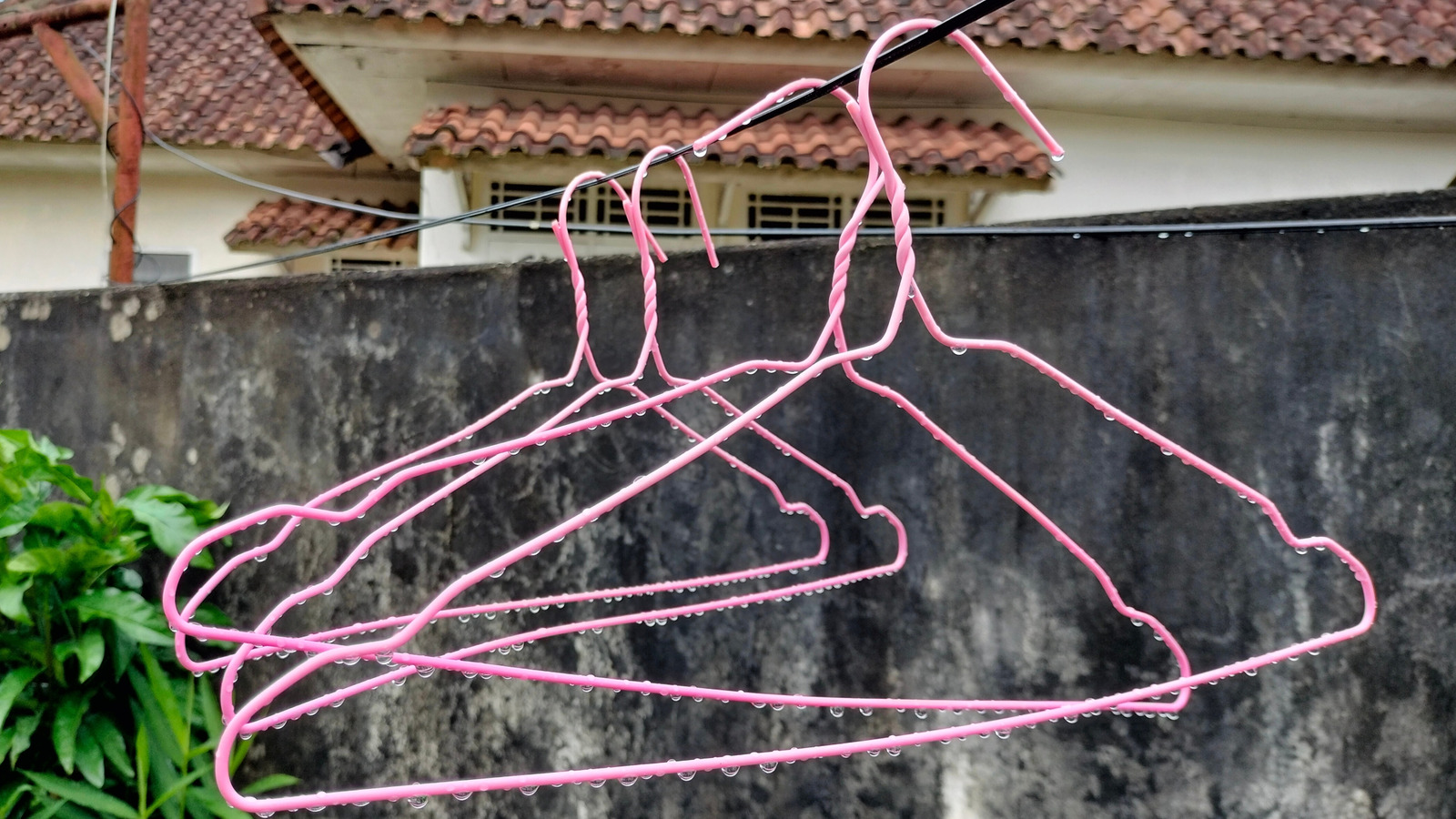 古いワイヤーハンガーを捨てないで、代わりにハンギングプランターブラケットに変えてください