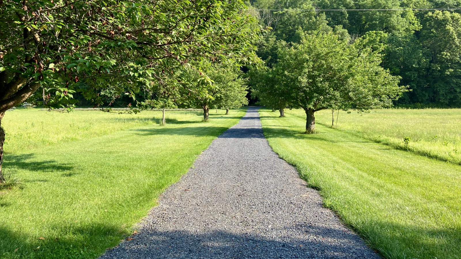 頑丈なツールの助けを借りて、砂利の私道のpot穴を取り除く