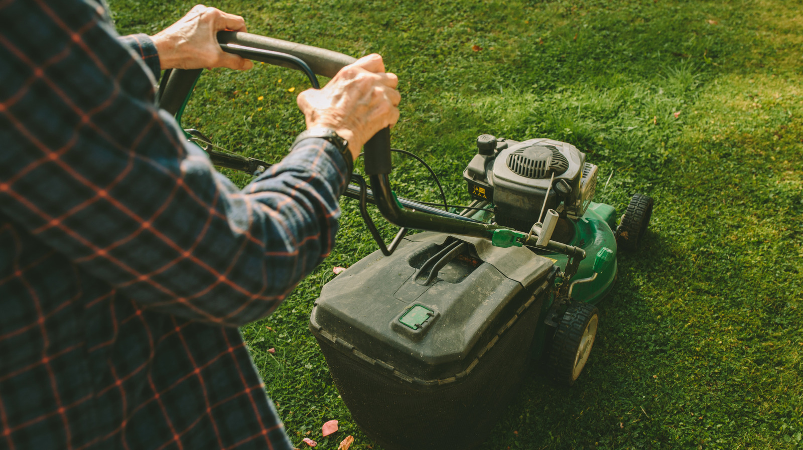 あなたの草の種類に最適な芝刈り機を選ぶ方法