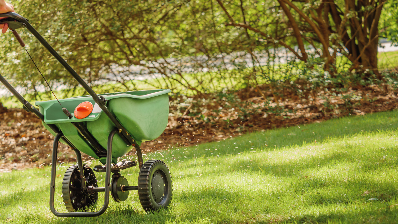 Pearl のプレミアムグラスシードがあなたの庭に適しているかどうかを判断する方法