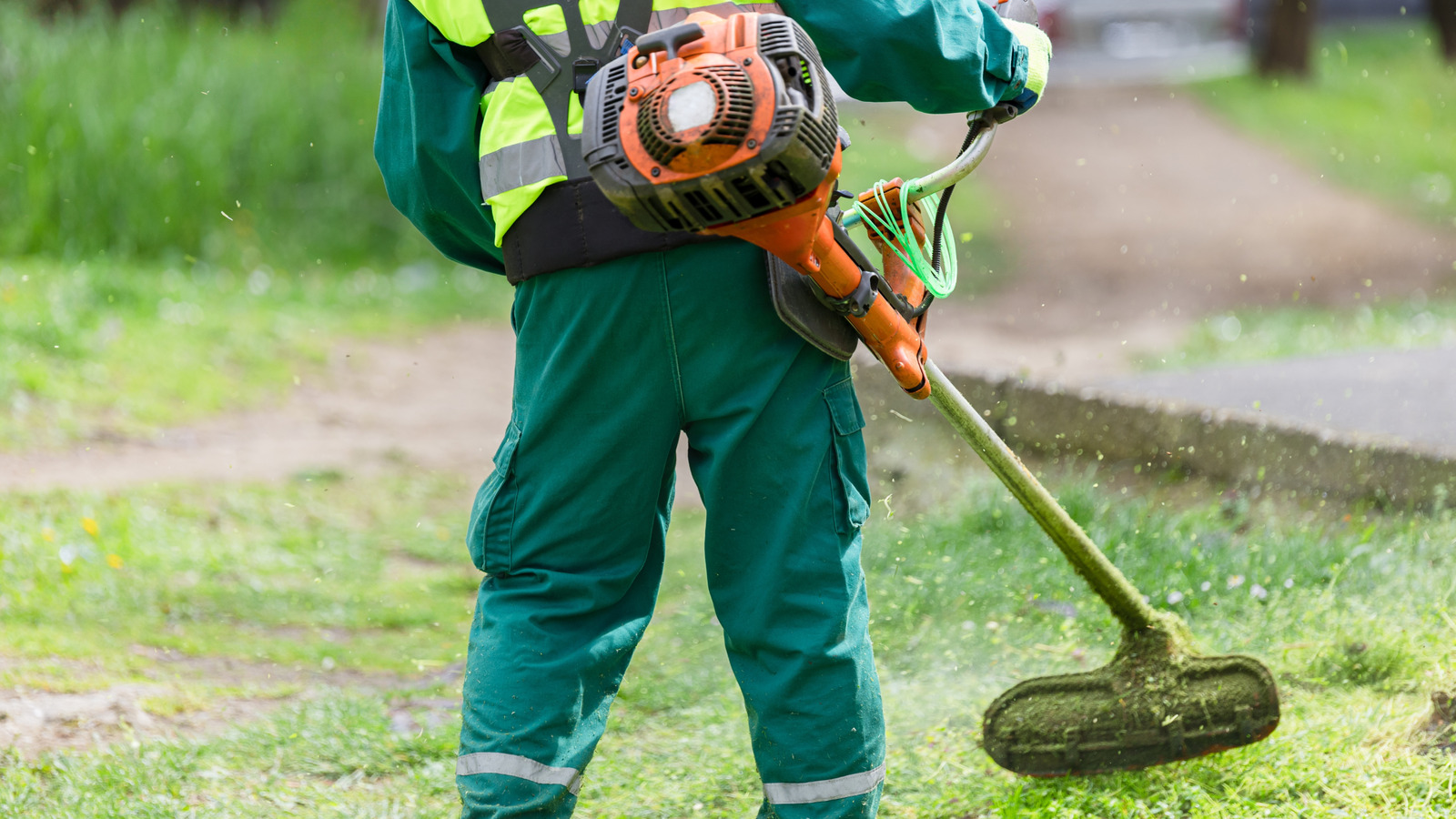 雑草たたきに使用する適切な種類のオイルを決定する方法