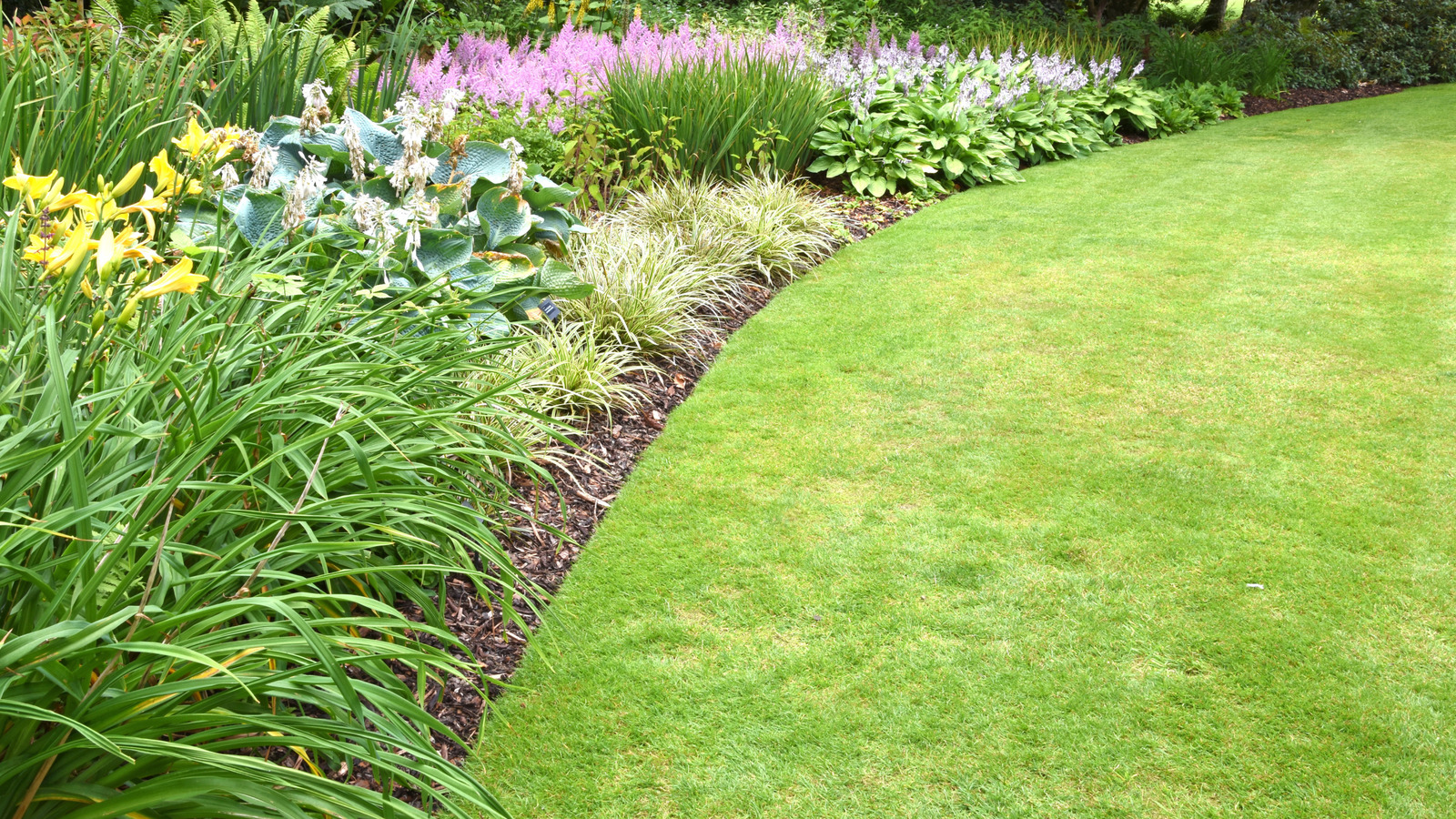 最初に芝生を刈るか縁取るかを判断する方法