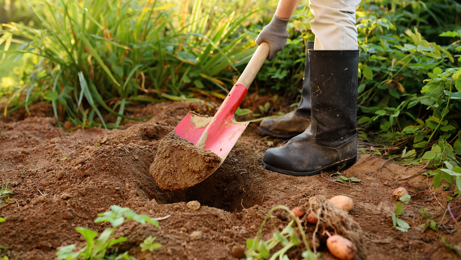 あなたの庭のために手頃な価格のクリーンアップステーションをdiyする方法