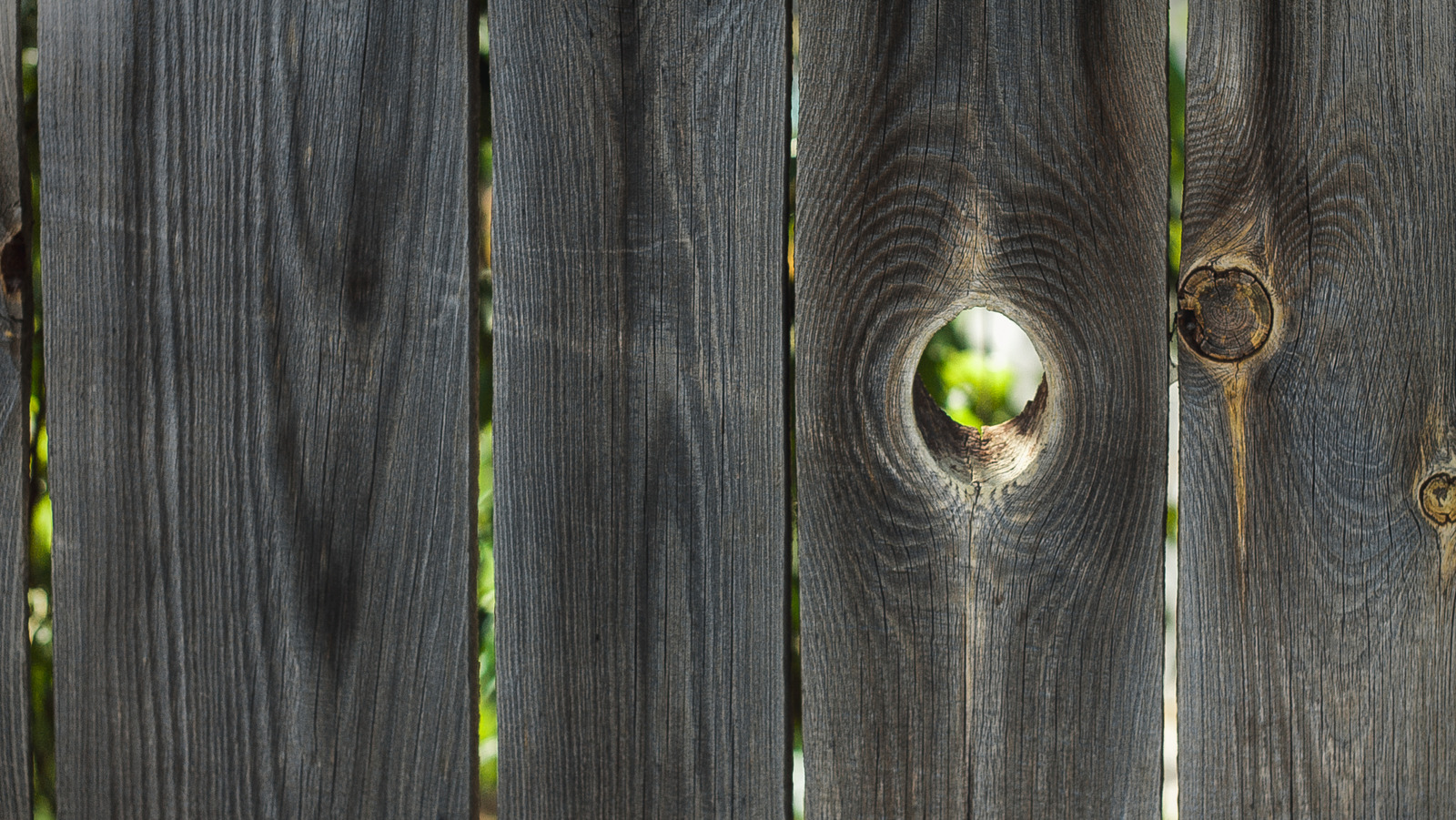 あなたの庭での追加のプライバシーのためにフェンスの穴を修復する方法