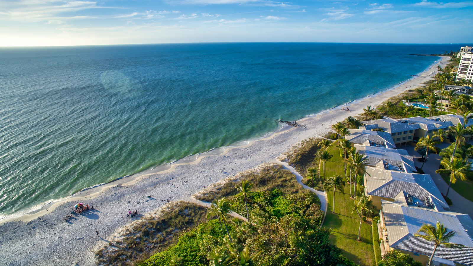 沿岸水域での肉食細菌に対して保護する方法