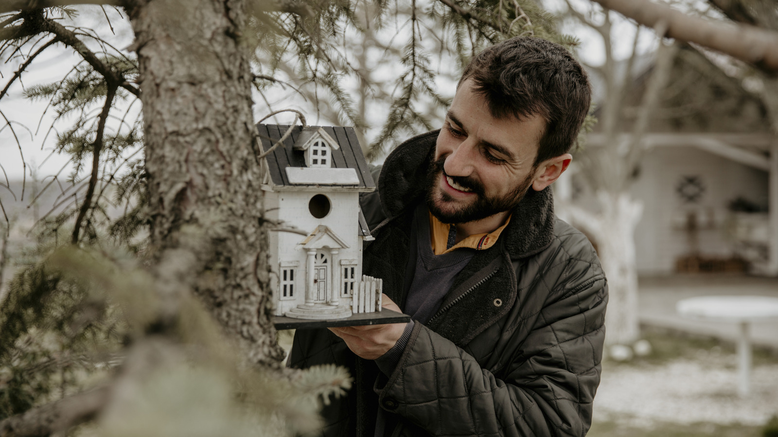 あなたの裏庭のためのかわいい木製の巣箱を安全にdiyする方法